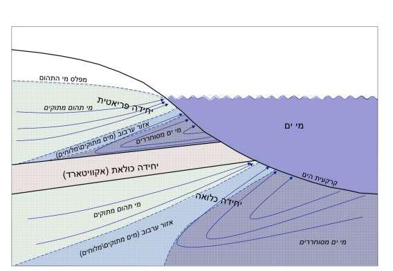 איור 0. מודל רעיוני של שפיעת מי תהום אל הים. מי תהום יכולים לשפוע גם מאקוויפר פריאטי )שאינו מכוסה בשכבה כולאת( וגם משכבה כלואה.