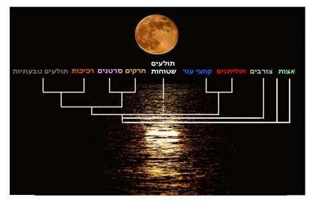 טבעי ישנם שלושה מאפיינים עיקריים: עוצמה, תדירות וקיטוב )7(.