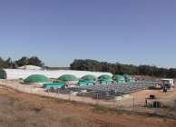 Ecological Approach לשימוש מושכל של משאבי הים מערכת משולבת ימית מערכת משולבת יבשתית 1. תירות א ולו ית 1. תירות א ולו ית א נים ירו ים כשמורת בע ואתרי ד ירה לד ים ועו ות ייצור אצות רב תאיות כמ ור לבו.2.
