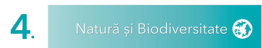 (+) LUNCA MUREȘULUI - Arie protejată Sit Natura 2000 suprafața totală 17,445 ha (-) Lipsa fondurilor poate afecta Planului de management al Parcului Lunca Mureșului 4 NATURĂ ȘI BIODIVERSITATE
