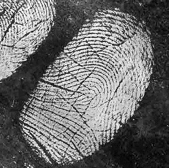 ROINN II CEIMIC (200 marc) 7. Freagair aon cheann déag de na míreanna seo a leanas (a), (b), (c), etc. Tá na míreanna uile ar aon mharc. Bíodh do chuid freagraí gearr.