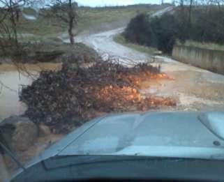 Έβρου Ειδική Διασωστική Ομάδα Τον Όμιλο Φίλων Θαλάσσης Αλεξανδρούπολης Το