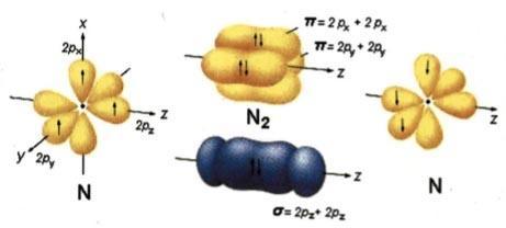 Σχηματισμός μορίου N 2. Κάθε άτομο N διαθέτει τρία p τροχιακά με μονήρη ηλεκτρόνια.
