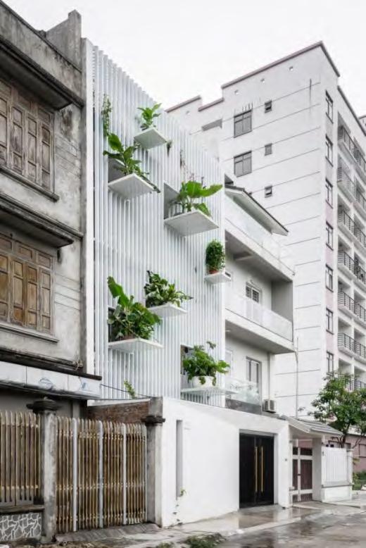 - Ελαφριές φυτεύσεις στις όψεις και στα μπαλκόνια των κτιρίων που μπορούν να προσφέρουν στους κατοίκους μεγαλύτερη ιδιωτικότητα.