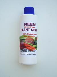 Βοτανικά εντομοκτόνα - Προέρχονται απ ευθείας από φυτά, όπως αζαντιρακτίνη (neem oil), πύρεθρο, ρετενόνη κλπ.