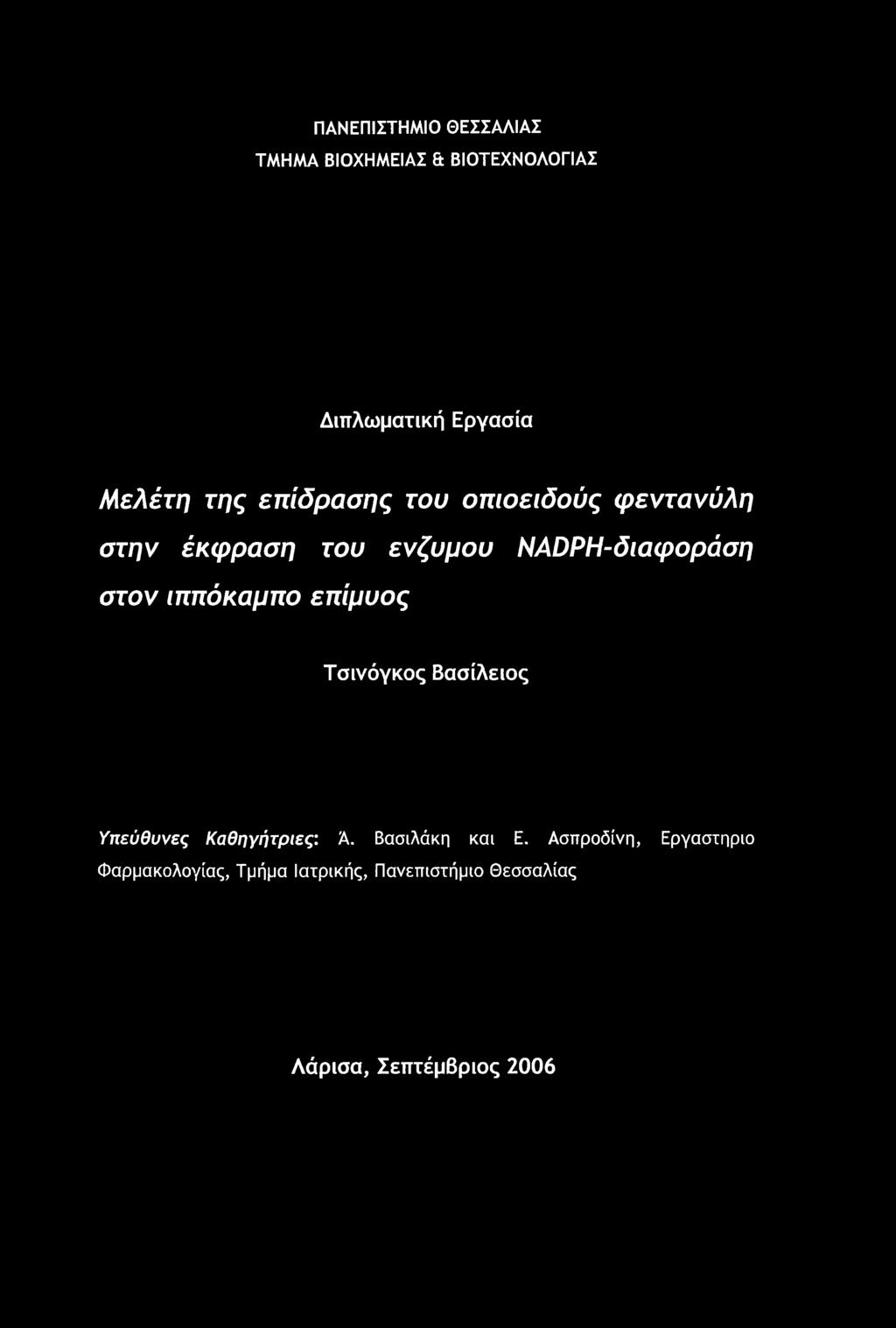 Καθηγήτριες: Α. Βασιλάκη και Ε.
