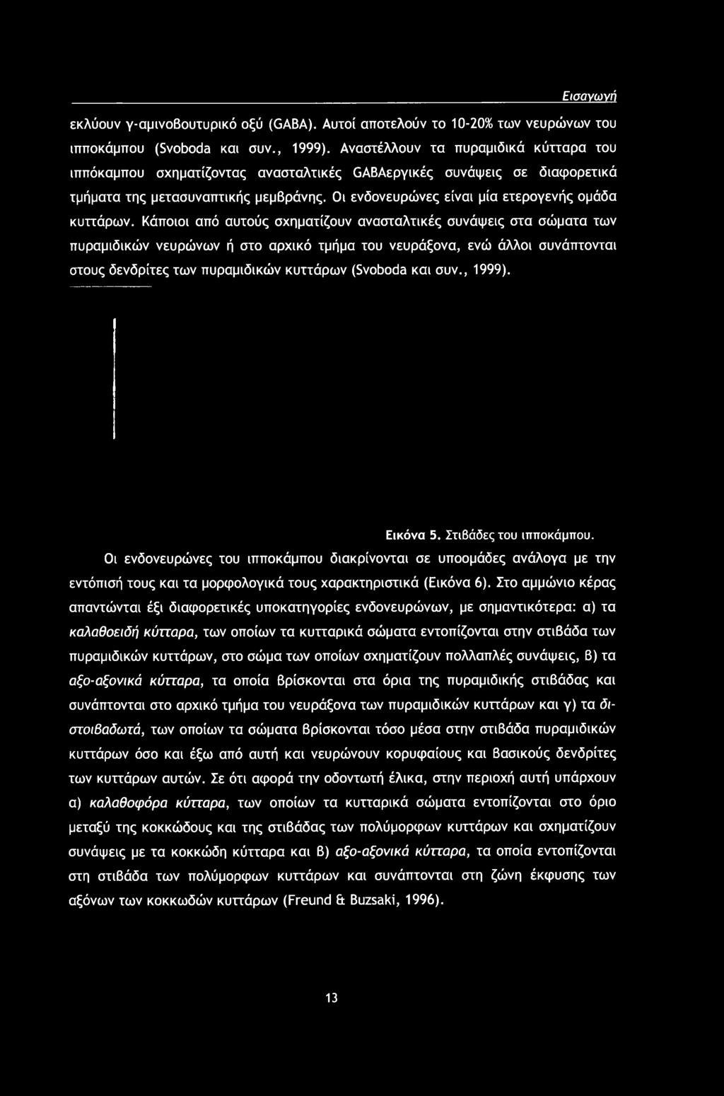 Οι ενδονευρώνες είναι μία ετερογενής ομάδα κυττάρων.