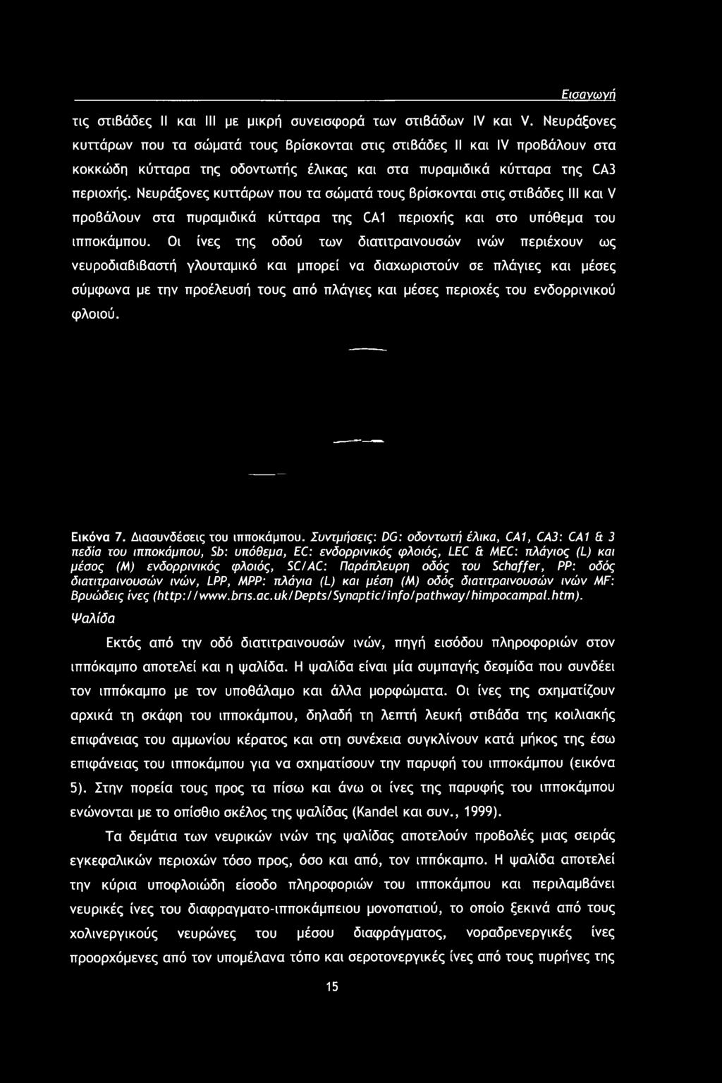 Εισανωνή τις στιβάδες II και III με μικρή συνεισφορά των στιβάδων IV και V.