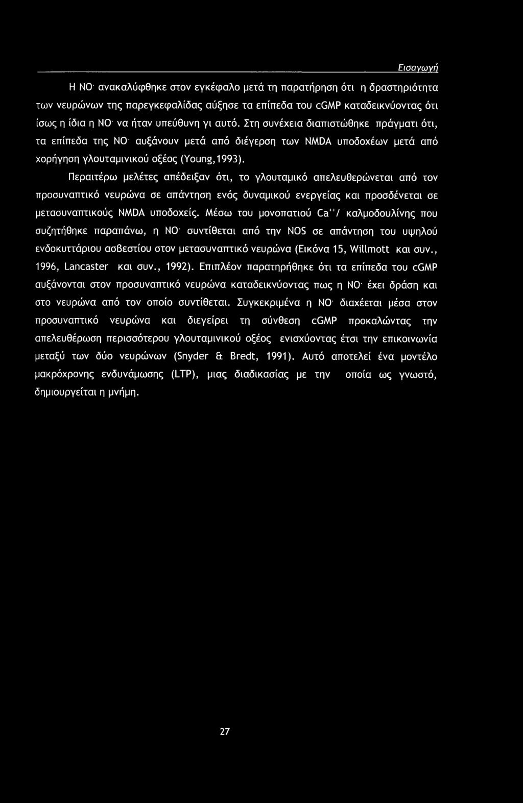 Περαιτέρω μελέτες απέδειξαν ότι, το γλουταμικό απελευθερώνεται από τον προσυναπτικό νευρώνα σε απάντηση ενός δυναμικού ενεργείας και προσδένεται σε μετασυναπτικούς NMDA υποδοχείς.