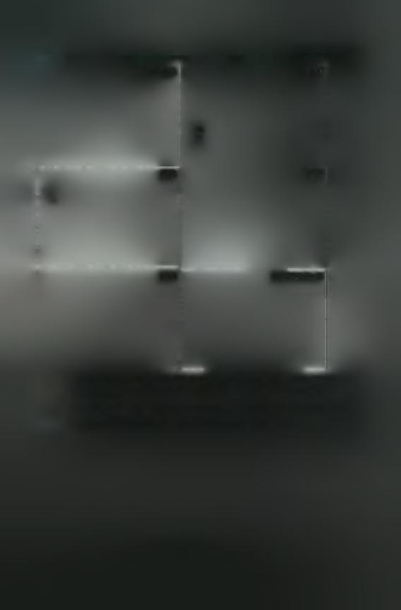 Αποτελέσυατα DGm/g 1 DGpol t CAl CA2 Λ CA3 DG-CA2,3m/l Εικόνα 22.