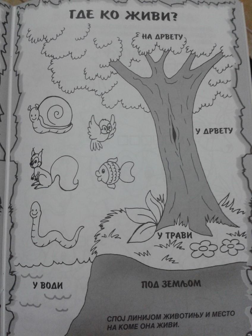 Прилог 4.