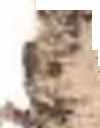 A K H K ^ ( : ' - c r ^ C C i T i c ~7^ V v^5 ^ *"ϊ S - A C r ^ e f l - T ^ <sra-t c6 c~v I O ^ T O ic ATT ^ j - c ^ a ' K r a c - u ; r«r I f '