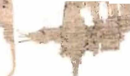 ί 1 t- H. u ^r- μ γυη^ / *; >*.u «f c C A I - f 4 4 **ar No. 498 recto No. 485 K o ' r c / v ^ e c - r e ; ;, a > i = r r f e c r ^ X - A.