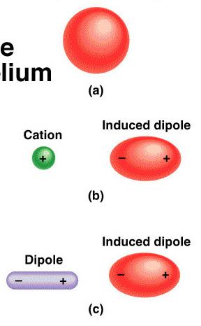 Dispersion Forces Intermolecular Forces Attractive forces that arise as a result of temporary dipoles induced in atoms or molecules ion-induced dipole interaction dipole-induced dipole interaction