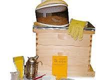 Διδάσκονται τα μαθήματα: Τεχνικός Μελισσοκομίας Μαθήματα εξειδίκευσης Μελισσοκομικός Εξοπλισμός Εγκατάσταση του Μελισσοκομείου Εχθροί και ασθένειες μελισσών Ι,ΙΙ