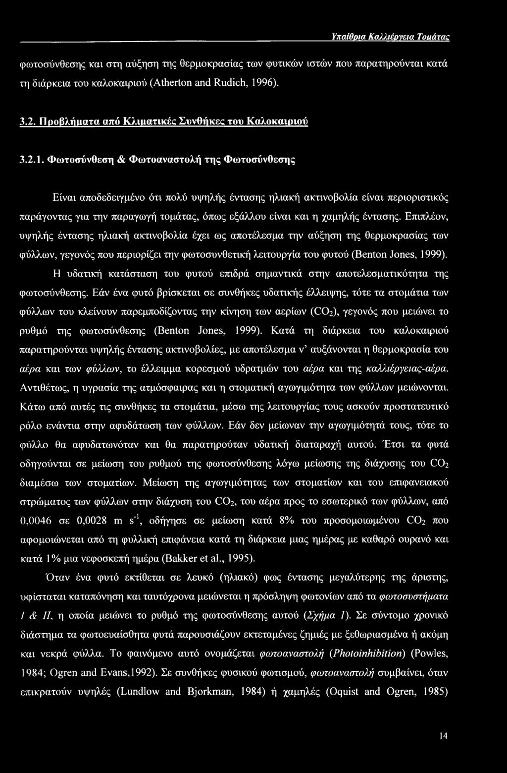 Υπαίθρια Καλλιέργεια Τοιιάταα φωτοσύνθεσης και στη αύξηση της θερμοκρασίας των φυτικών ιστών που παρατηρούνται κατά τη διάρκεια του καλοκαιριού (Atherton and Rudich, 1996). 3.2.