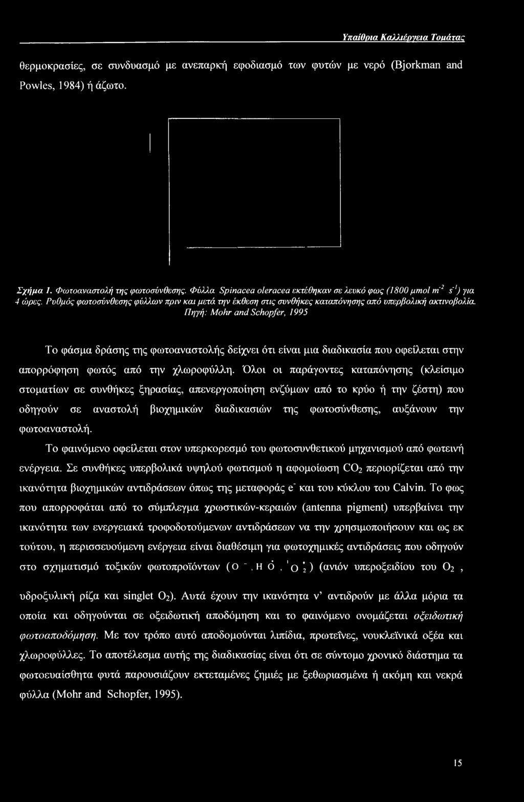 Πηγή: Mohr and Schopfer, 1995 Το φάσμα δράσης της φωτοαναστολής δείχνει ότι είναι μια διαδικασία που οφείλεται στην απορρόφηση φωτός από την χλωροφύλλη.