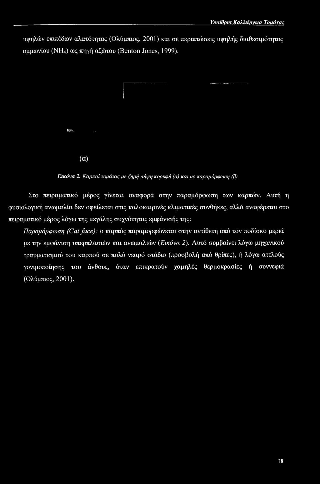 Αυτή η φυσιολογική ανωμαλία δεν οφείλεται στις καλοκαιρινές κλιματικές συνθήκες, αλλά αναφέρεται στο πειραματικό μέρος λόγω της μεγάλης συχνότητας εμφάνισής της: Παραμόρφωση (Cat face): ο καρπός