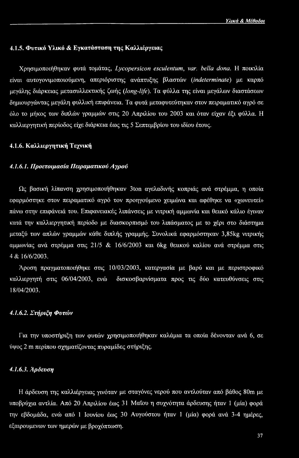 Τα φύλλα της είναι μεγάλων διαστάσεων δημιουργώντας μεγάλη φυλλική επιφάνεια.