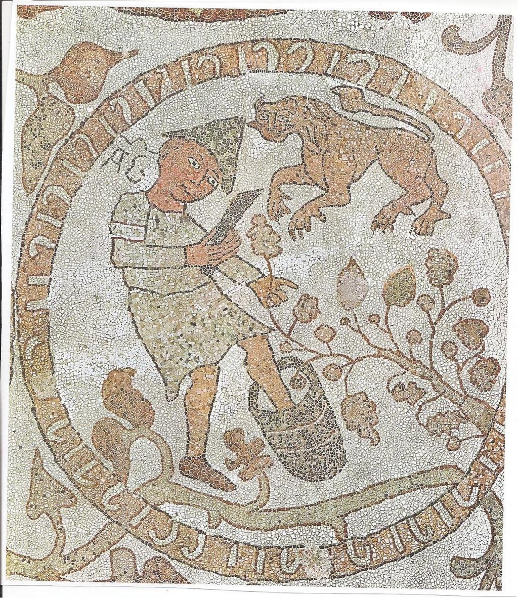 La dieta mediterranea. Un introduzione storica fra medioevo ed età contamporanea Fig. 5 Otranto. Mosaico pavimentale (1166). Raccolta tardoagostana (AUG[USTUS]) dell uva (da Willemsen).
