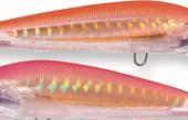 HARDCORE MINNOW