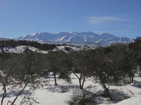 ΠΑΡΑΡΤΗΜΑΤΑ παραρτημα V - ΑΠΟΖΗΜΙΩΣΕΙΣ ΖΗΜΙΩΝ ΣΤΗ ΦΥΤΙΚΗ ΚΑΙ ΖΩΙΚΗ ΠΑΡΑΓΩΓΗ Φωτ. Πόπη Μπαξεβάνη/ΜΦΙΚ.