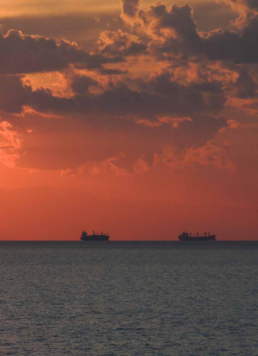 ΝΑΥΤΙΛΙΑΚΗ ΠΟΛΙΤΙΚΗ Ψηφιοποίηση: αξιοποίηση του αυτοματισμού στη ναυτιλία Ορισμένοι τομείς της ναυτιλίας, καθώς και ορισμένες πτυχές της λειτουργίας ενός πλοίου, είναι πιο κατάλληλοι για ψηφιοποίηση