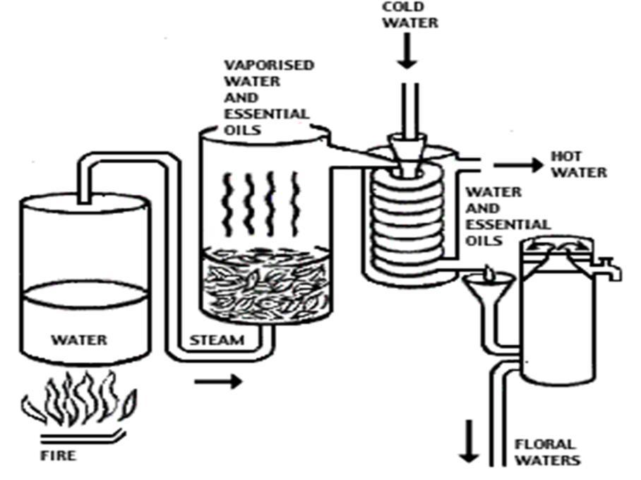 ειδικό βάρος τα αιθέρια έλαια διαχωρίζονται από το νερό. Γίνεται με αποστακτική μηχανή τα κύρια μέρη της οποίας είναι: 1. Άμβυκας: Το κύριο τμήμα περιέχει το φυτικό υλικό. 2.