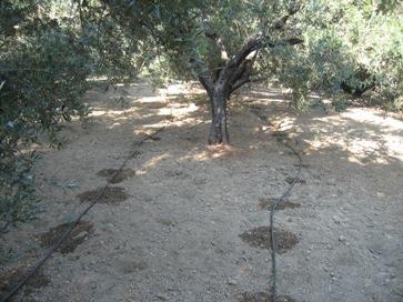 Προτείνεται η χρήση σταλλακτήρων παροχής 3 