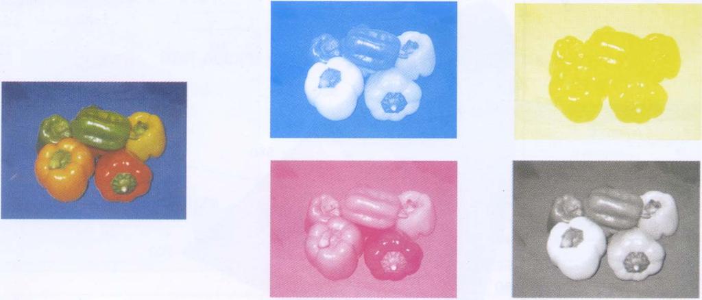 ΤΟ ΜΟΝΤΕΛΟ CMYK Αναλύεται η έγχρωμη εικόνα στα τέσσερα βασικά χρώματα εκτύπωσης Με