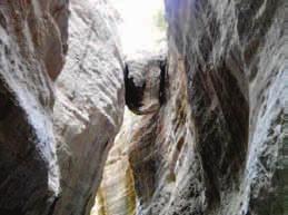 Δάσος Πέγειας Picture 4. Peyias Forest Εικόνα 5.