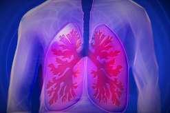 Τι είναι η ΧΑΠ Οι αεραγωγοί μεταφέρουν αέρα στους πνεύμονες.