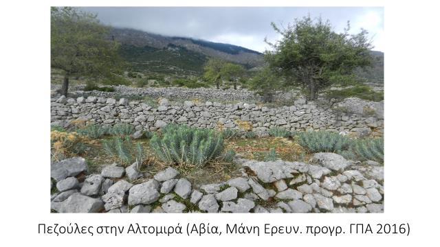 γερμανικής λαογραφίας volkskunde) που μέχρι την έντονη μεταπολεμική αστικοποίηση αποτέλεσε το κατεξοχήν ερευνητικό της αντικείμενο.