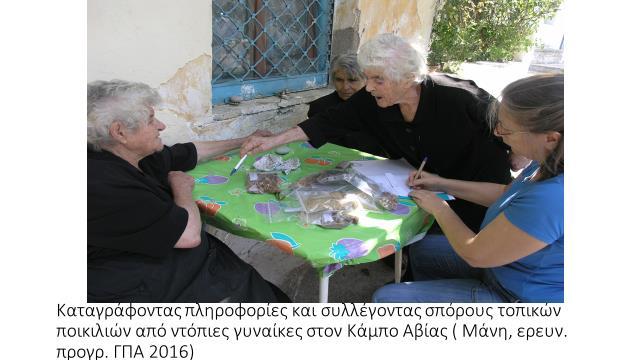 όπου ρίζωσαν και εγκλιματίστηκαν.