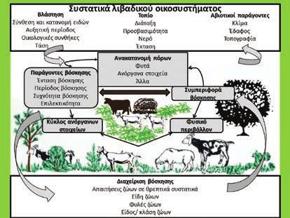 Εννοιολογική αναπαράσταση των συσχετίσεων μεταξύ βοσκήσιμων γαιών, ζώων και βλάστησης ωστόσο, δεν είναι το επίκεντρο αυτού του άρθρου.