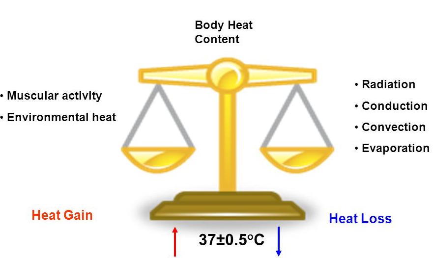 Η εισροή και η εκροή θερµότητας πρέπει να βρίσκονται σε ισοροπία για να διατηρείται σταθερή η εσωτερική