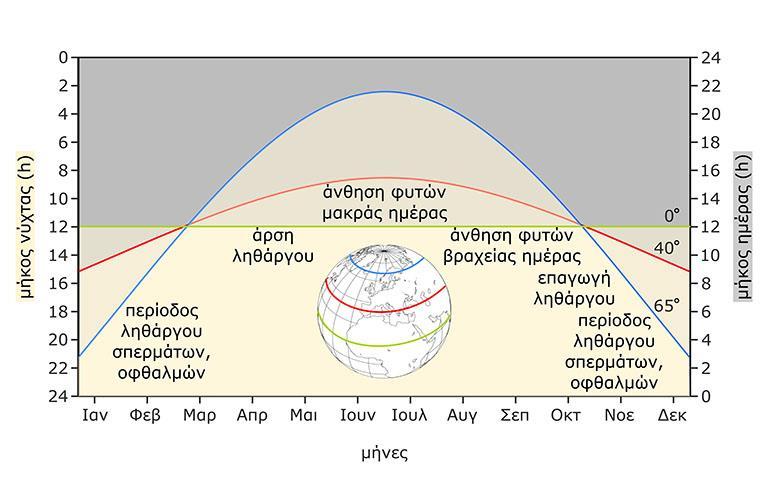 Εποχιακές μεταβολές της φωτοπεριόδου (δηλ.