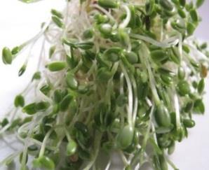 / GREEN BEANS 8.