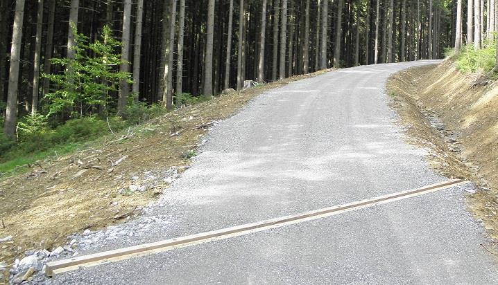 V zmysle definície normy STN 73 6108 lesná dopravná sieť zvodnica lesnej cesty je drevené, betónové alebo oceľové priečne odvodňovacie zariadenie, ktoré odvádza povrchovú vodu z povrchu lesnej cesty