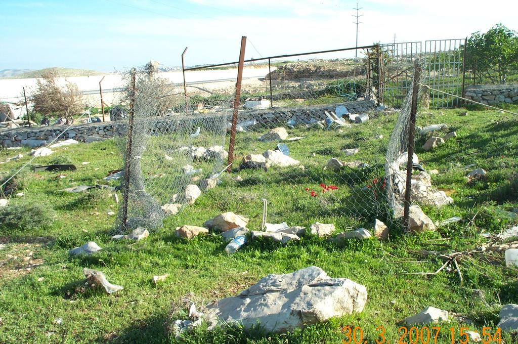 97 كعوب Onopordum alexandrinum Paronychia sinaica رجل حمامة عزاوية حرمل Peganum harmala ب العايق الش Silene damascena سويدة Suaeda asphaltica جعدة Teucrium capitatum عورور Verbascum fruticulosum وأما