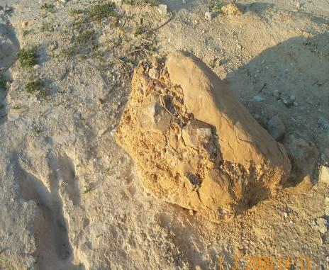 30 3.2 الخصائص الجيومورفولوجية ترتبط أشكال السطح الطبيعية ارتباطا وثيقا بالبنية الجيولوجية للمنطقة بل أنها في كثير من الحيان انعكاس طبيعي لها.