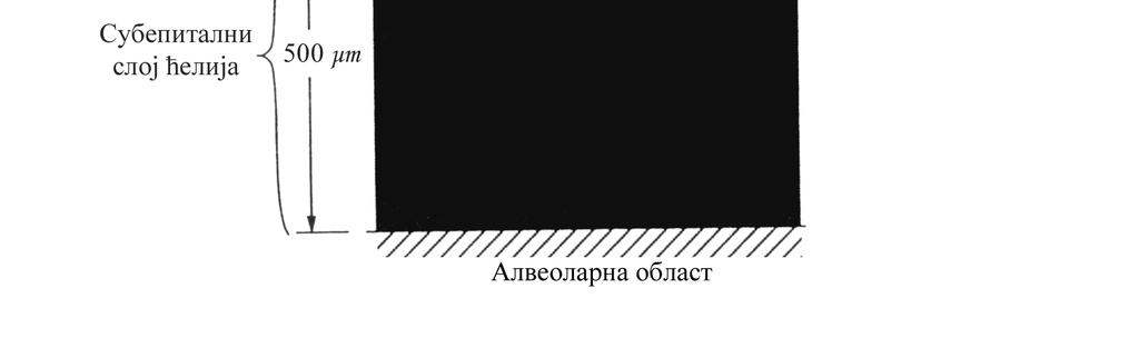 Претпоставља се да се овакве мете налазе у зиду цеви које проводе ваздух.