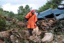 και την Δυτική Ελλάδα. Όλο το προσωπικό βρίσκονταν σε επιφυλακή για όλες τις ημέρες που ακολούθησαν.