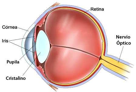 Cando falamos de ángulo sólido subtendido, estamos a falar do ángulo sólido formado pola fonte luminosa e o ollo do observador ou punto de medida (detector radiométrico).