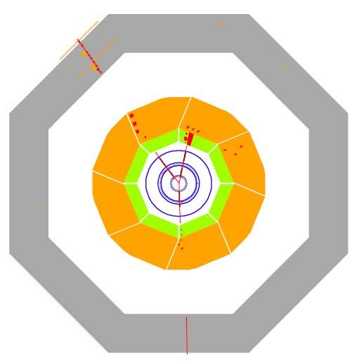(compared to electrons) they don t shower so easily