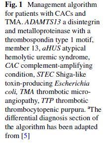 Ορισμός: αhus Κλινικός ορισμός Ουριαμία, αιμόλυση Θομβωτική μικροαγγειοπάθεια που δεν οφείλεται σε ανεπάρκεια ADAMTS13 (TTP) ή σε STEC (κλασσικό/d+