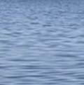 Shellfish Industry: Site