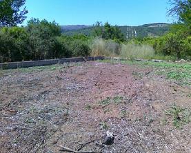 (δ) πριν την έναρξη του πειράματος (Ιούλιος 2011). Λόγω των περιορισμών διαθέσιμης επιφάνειας, χρησιμοποιήθηκε μόνο ένα μεμονωμένο τεμάχιο ανά μεταχείριση, διαστάσεων έκαστο 4 x 12 μ. (Σχ. 3.2).
