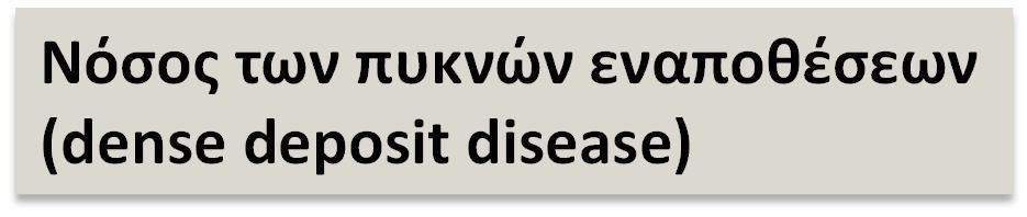 παραγόντων συμπληρώματος Ιστολογική