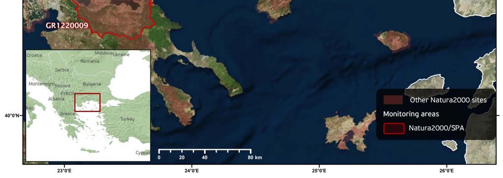 είδος 1. Λίμνη Κερκίνη 2.